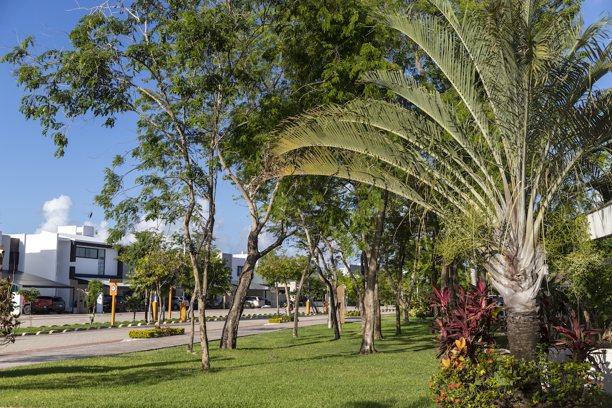 0621LagosdelSol__035 Propiedades e Inmuebles en Cancun - Lagos del Sol Lotes Residenciales