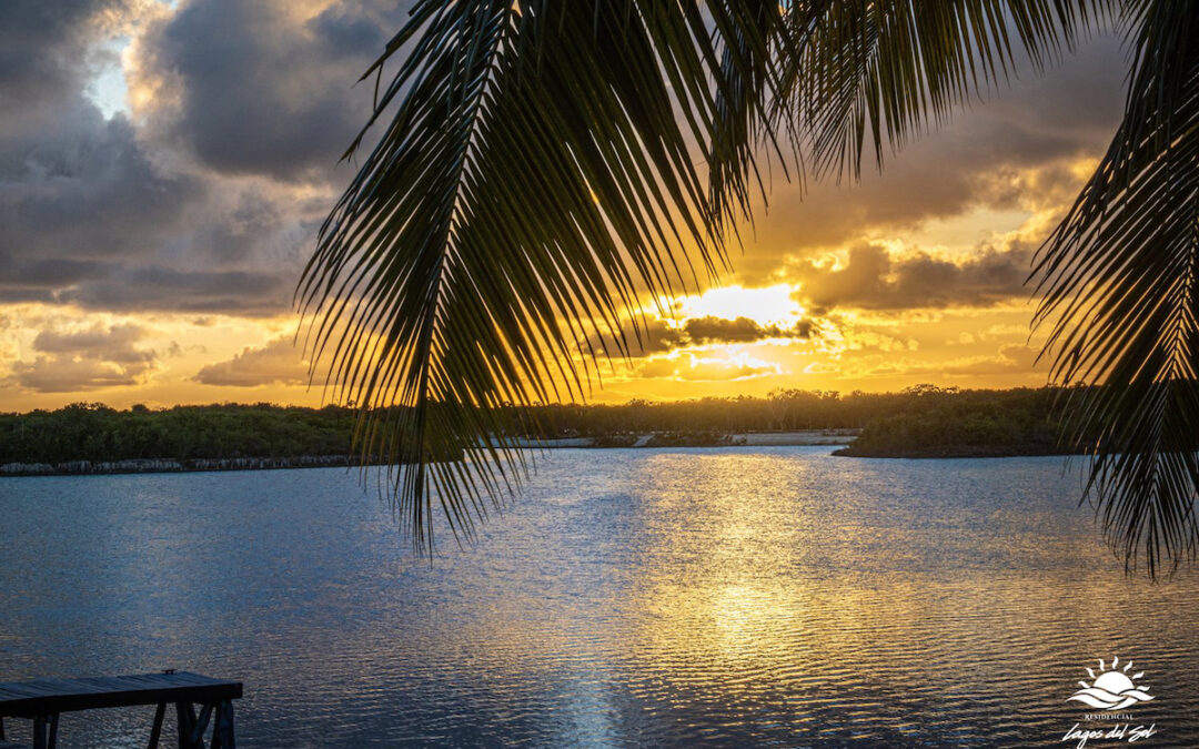 ¡Últimos lotes premium! No te quedes sin firmar en este exclusivo paraíso