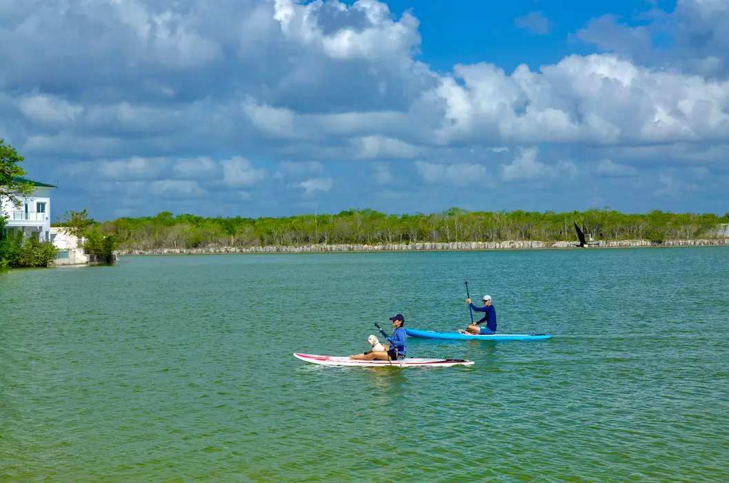 diseno-paisajista-lagos-del-sol