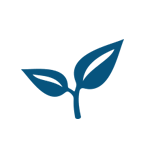 alberca semiolímpica